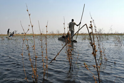 afr10d073-dela Okavango