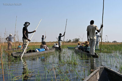 afr10d077-spływ mokoro po delcie Okavango