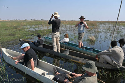 afr10d095-spływ mokoro po delcie Okavango
