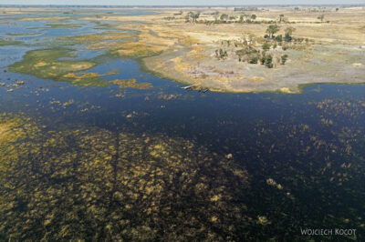 afr10d122-dela Okavango-z drona