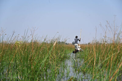 afr10d134-spływ mokoro po delcie Okavango