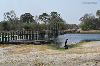 afr10d141-dela Okavango
