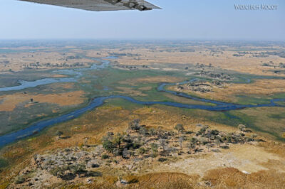 afr10d180-dela Okavango z awionetki