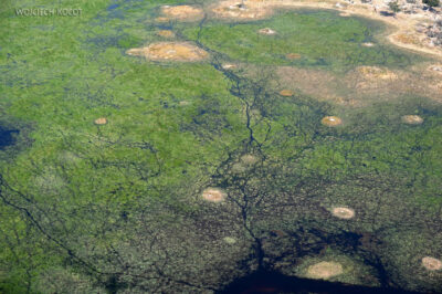 afr10d184-dela Okavango z awionetki