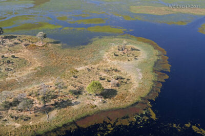 afr10d191-dela Okavango z awionetki