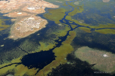 afr10d193-dela Okavango z awionetki