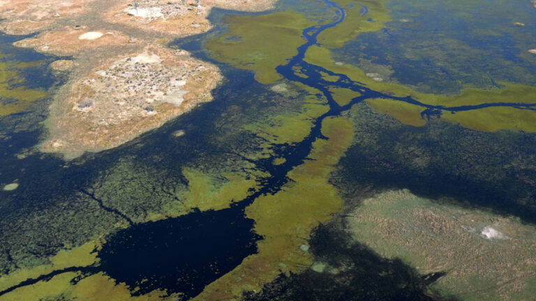 afr10d193-dela Okavango z awionetki