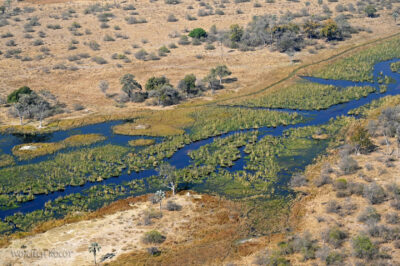 afr10d196-dela Okavango z awionetki