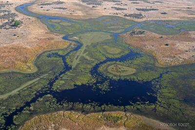 afr10d210-dela Okavango z awionetki