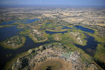 afr10d230-dela Okavango z awionetki