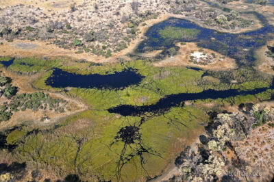 afr10d233-dela Okavango z awionetki