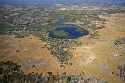 afr10d235-dela Okavango z awionetki