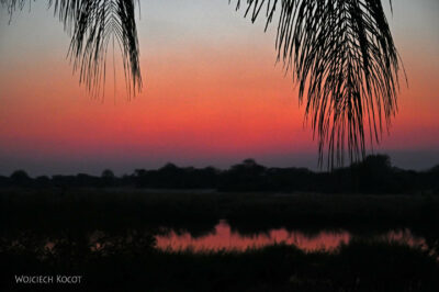 afr11d024-w N'Kwazi Lodge