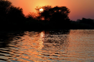 afr12d007-po Okavango rejs o wschodzie