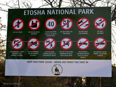 afr12d071-Etosha National Park-brama