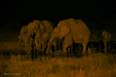 afr12d077-waterhole w Camp Namutoni