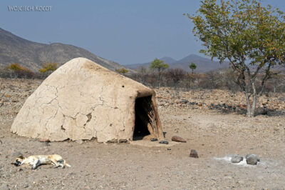 afr16d117-w wiosce Himba afr16d117-w wiosce Himba