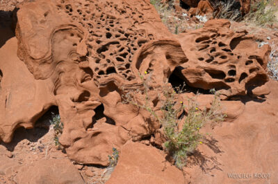 afr18d114-Twyfelfontein-ryty naskalne afr18d114-Twyfelfontein-ryty naskalne