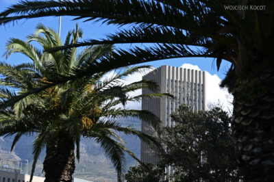 afr28d090-Cape Town - wieżowce