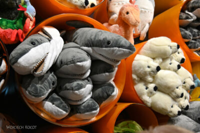 afr30d182-Cape Town - w oceanarium