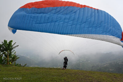 rolg07- rolg07-