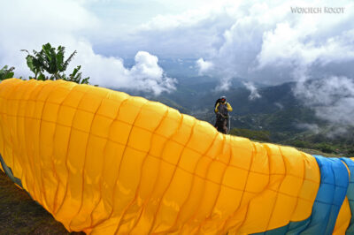 rolr02- rolr02-
