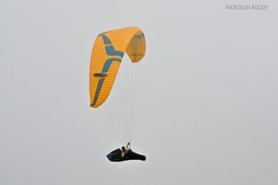 rolr18- rolr18-
