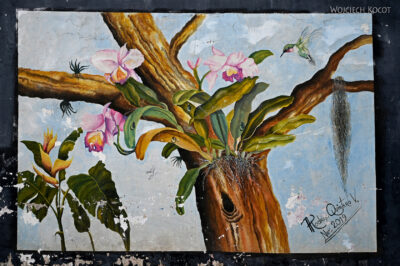 rolx21-Murale w Rolda rolx21-Murale w Rolda