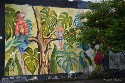 rolx23-Murale w Rolda rolx23-Murale w Rolda