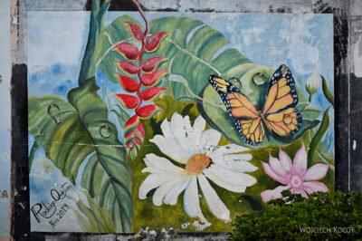 rolx24-Murale w Rolda rolx24-Murale w Rolda